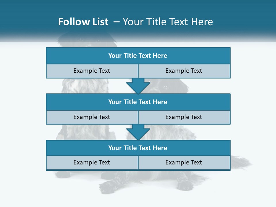 Two Dogs Sitting Next To Each Other On A White Background PowerPoint Template
