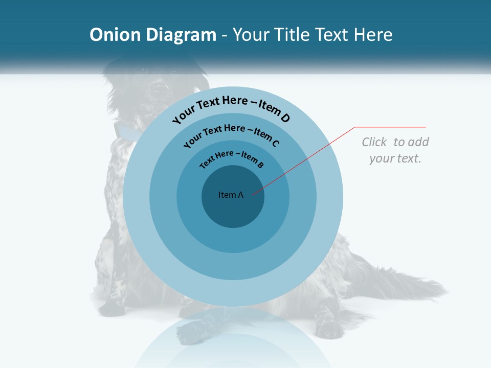 Two Dogs Sitting Next To Each Other On A White Background PowerPoint Template