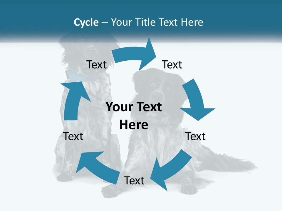 Two Dogs Sitting Next To Each Other On A White Background PowerPoint Template