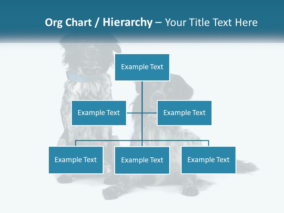 Two Dogs Sitting Next To Each Other On A White Background PowerPoint Template