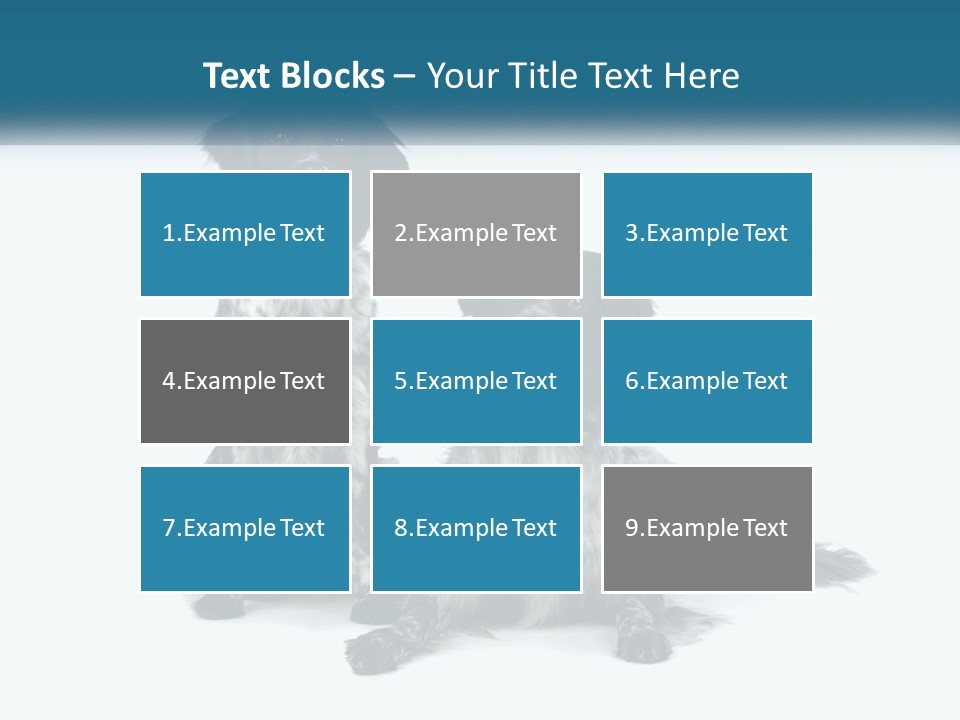 Two Dogs Sitting Next To Each Other On A White Background PowerPoint Template