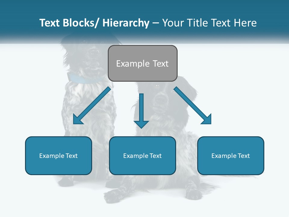 Two Dogs Sitting Next To Each Other On A White Background PowerPoint Template
