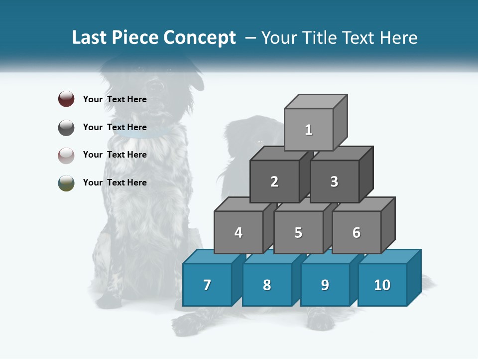 Two Dogs Sitting Next To Each Other On A White Background PowerPoint Template