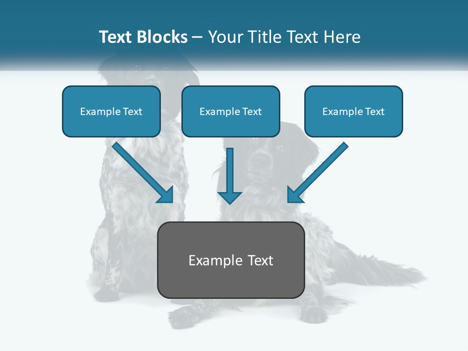 Two Dogs Sitting Next To Each Other On A White Background PowerPoint Template