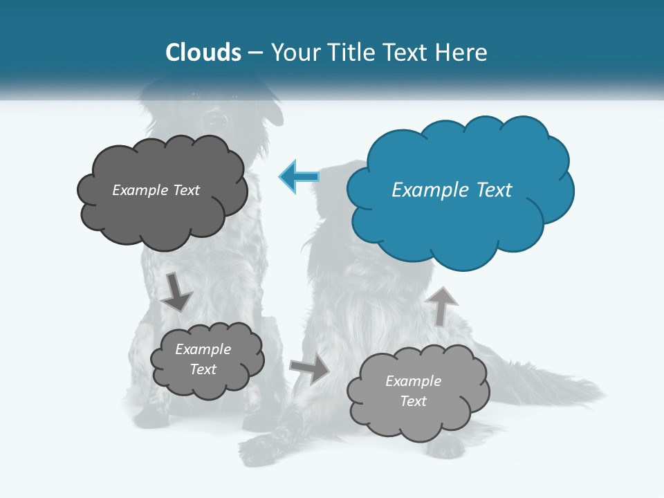 Two Dogs Sitting Next To Each Other On A White Background PowerPoint Template