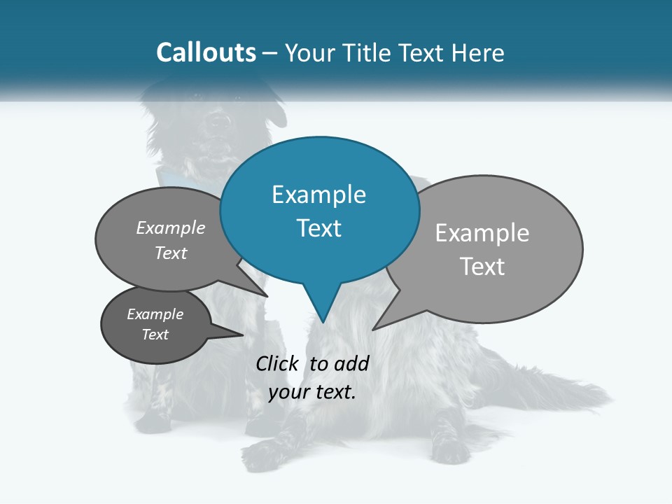 Two Dogs Sitting Next To Each Other On A White Background PowerPoint Template