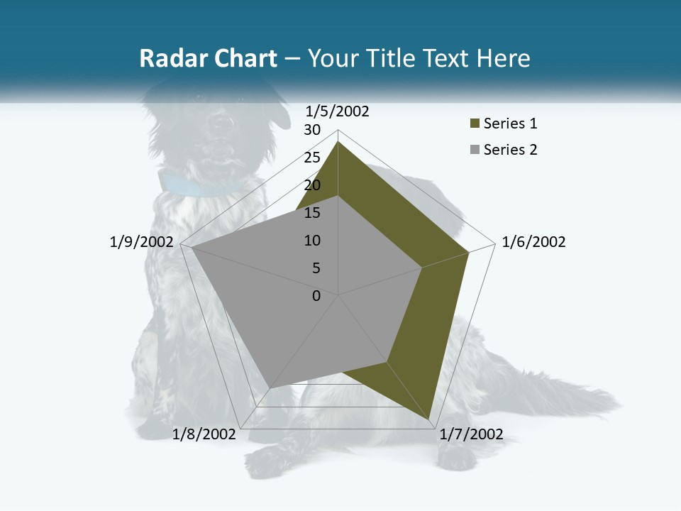 Two Dogs Sitting Next To Each Other On A White Background PowerPoint Template