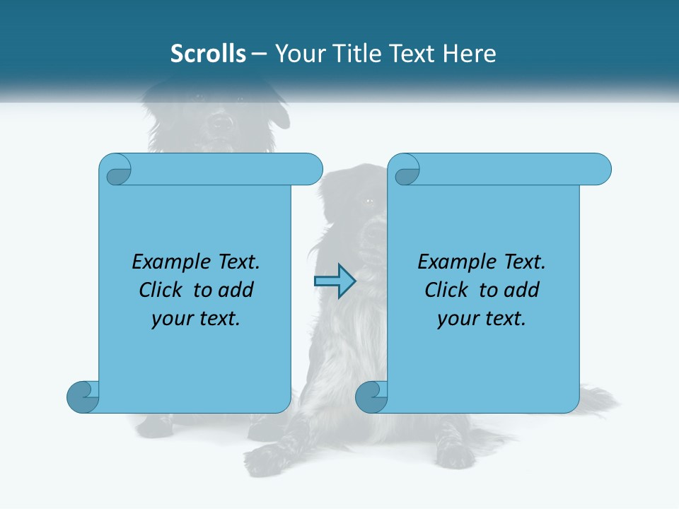 Two Dogs Sitting Next To Each Other On A White Background PowerPoint Template