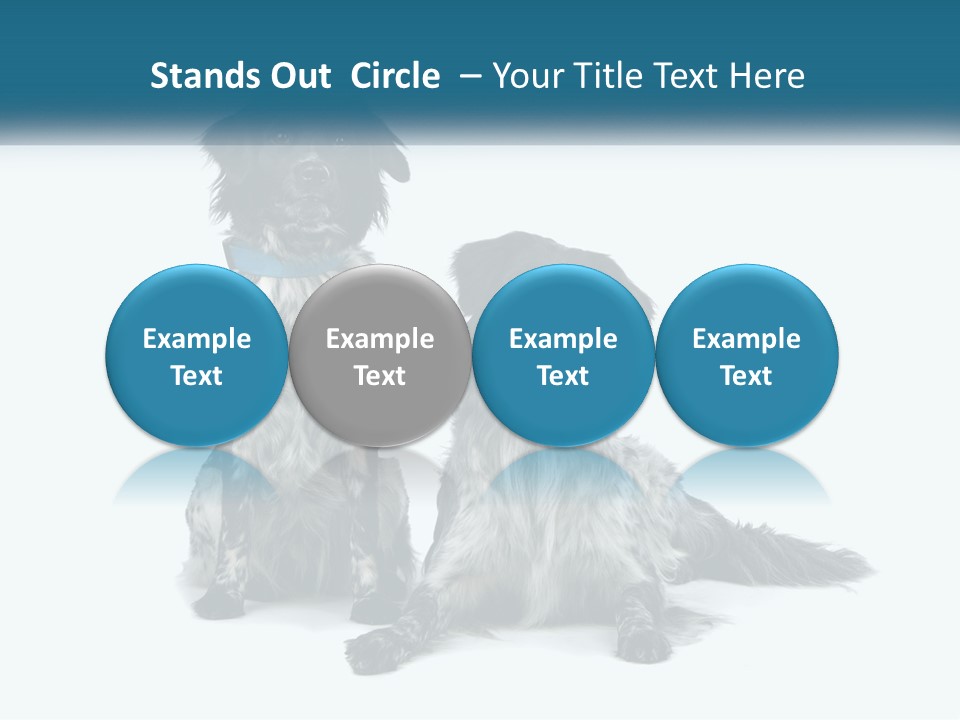 Two Dogs Sitting Next To Each Other On A White Background PowerPoint Template