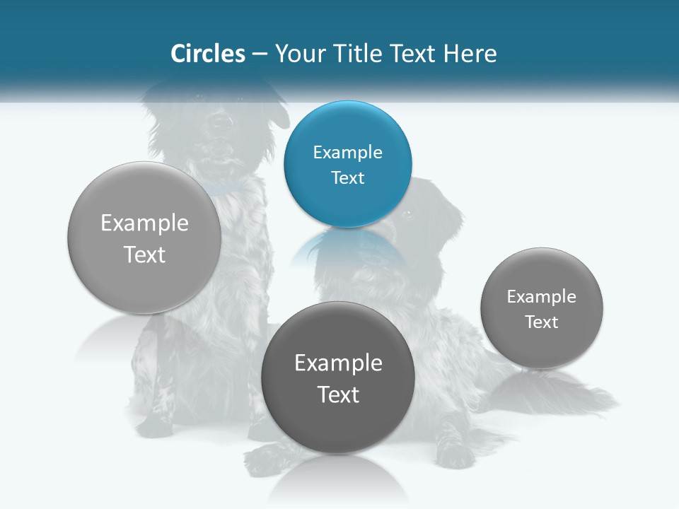 Two Dogs Sitting Next To Each Other On A White Background PowerPoint Template