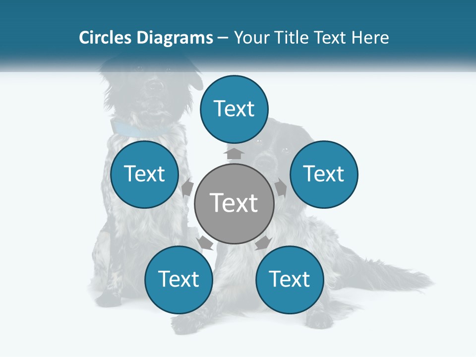 Two Dogs Sitting Next To Each Other On A White Background PowerPoint Template