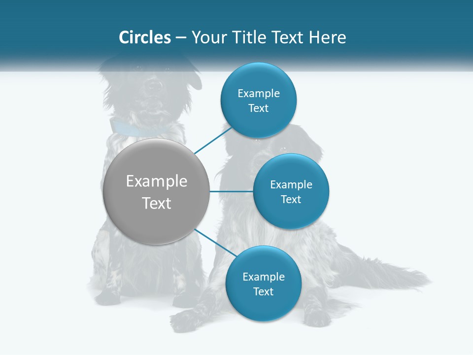 Two Dogs Sitting Next To Each Other On A White Background PowerPoint Template