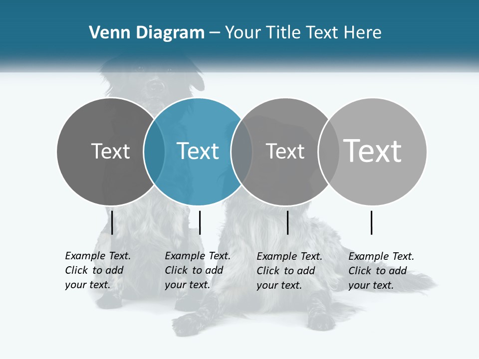 Two Dogs Sitting Next To Each Other On A White Background PowerPoint Template