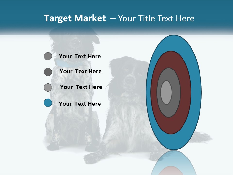 Two Dogs Sitting Next To Each Other On A White Background PowerPoint Template