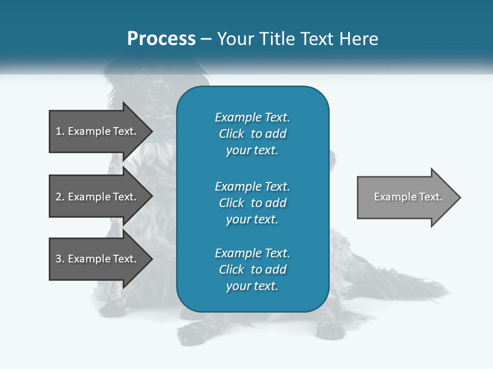 Two Dogs Sitting Next To Each Other On A White Background PowerPoint Template