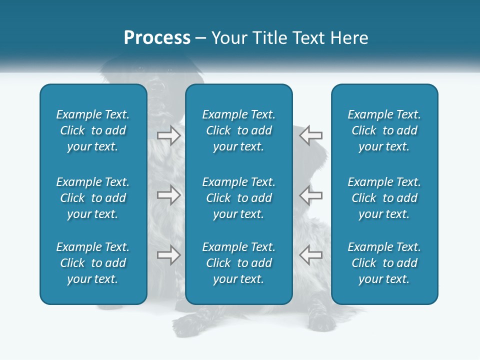 Two Dogs Sitting Next To Each Other On A White Background PowerPoint Template