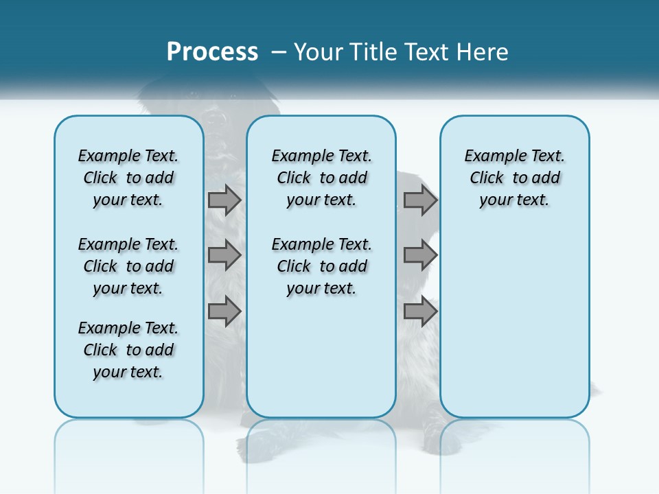 Two Dogs Sitting Next To Each Other On A White Background PowerPoint Template