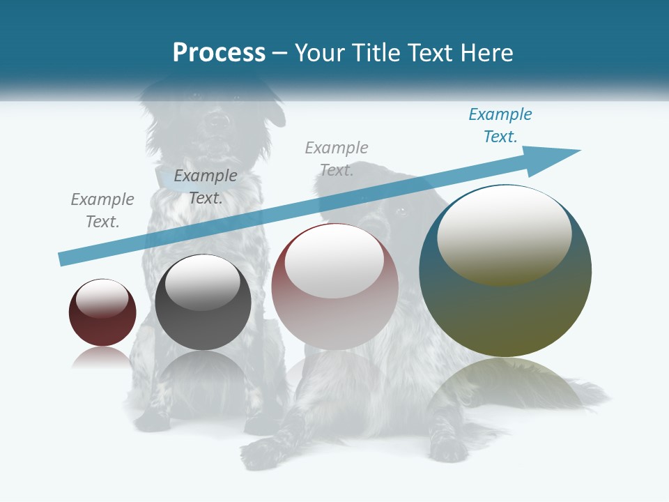 Two Dogs Sitting Next To Each Other On A White Background PowerPoint Template