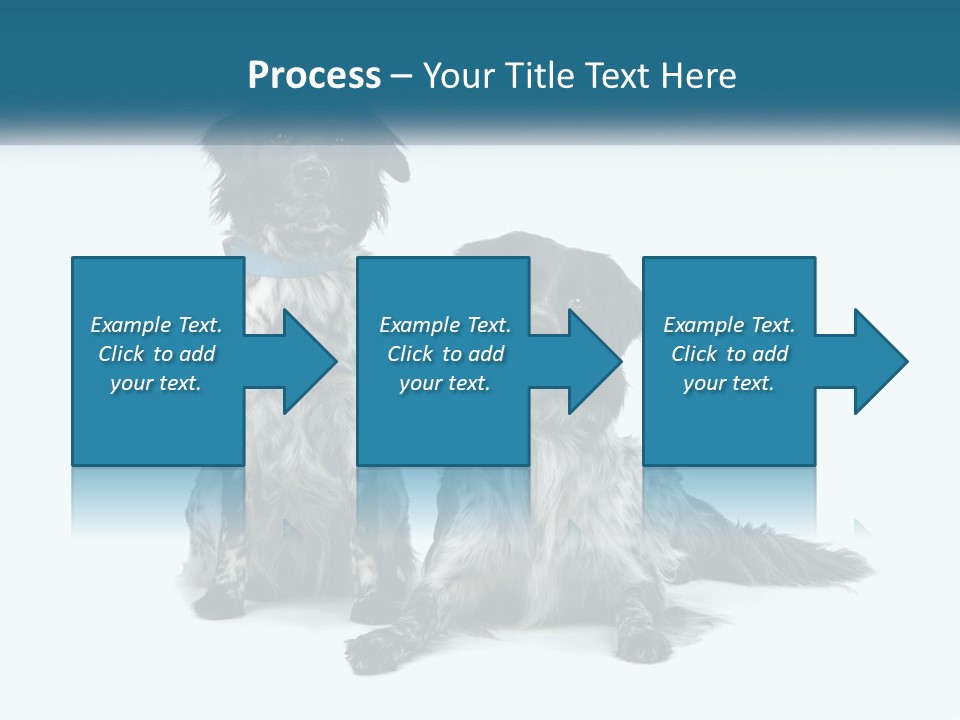 Two Dogs Sitting Next To Each Other On A White Background PowerPoint Template