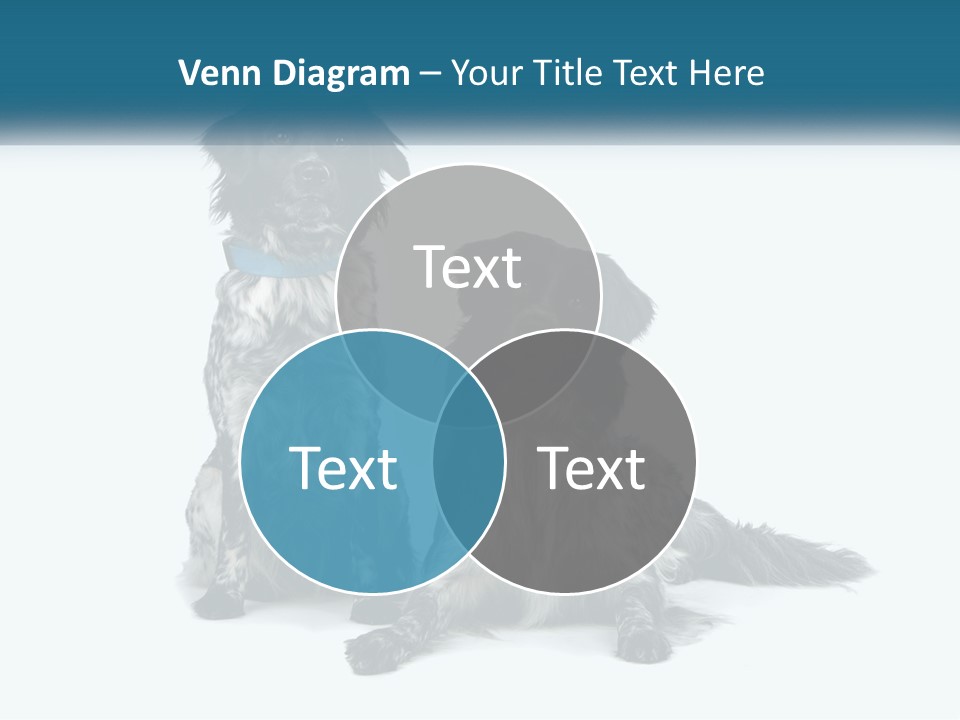 Two Dogs Sitting Next To Each Other On A White Background PowerPoint Template