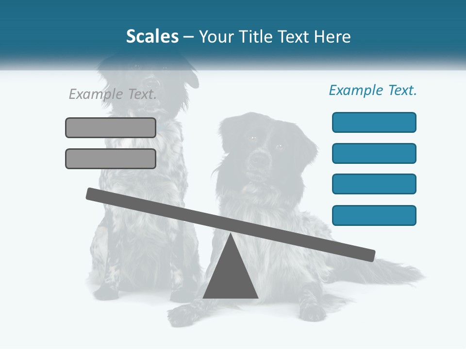 Two Dogs Sitting Next To Each Other On A White Background PowerPoint Template