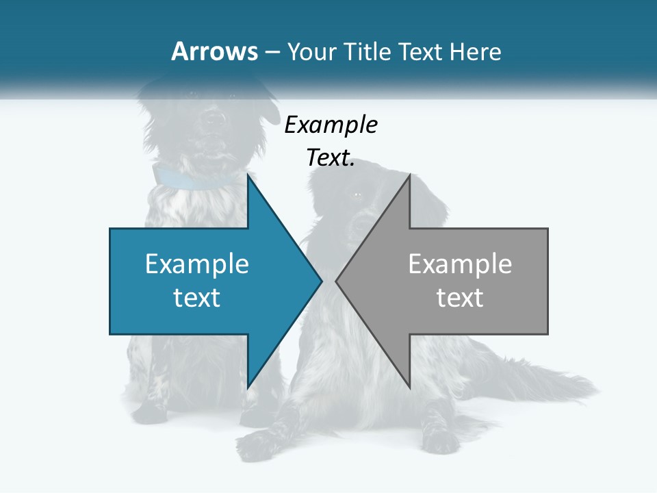 Two Dogs Sitting Next To Each Other On A White Background PowerPoint Template