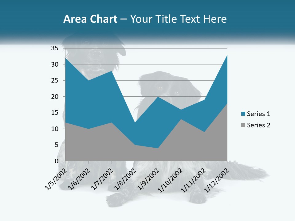 Two Dogs Sitting Next To Each Other On A White Background PowerPoint Template