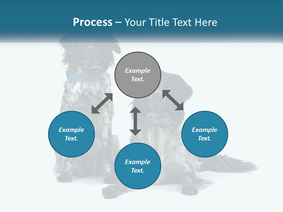 Two Dogs Sitting Next To Each Other On A White Background PowerPoint Template