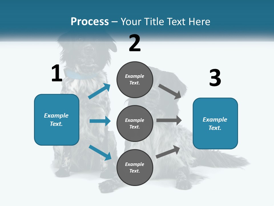 Two Dogs Sitting Next To Each Other On A White Background PowerPoint Template