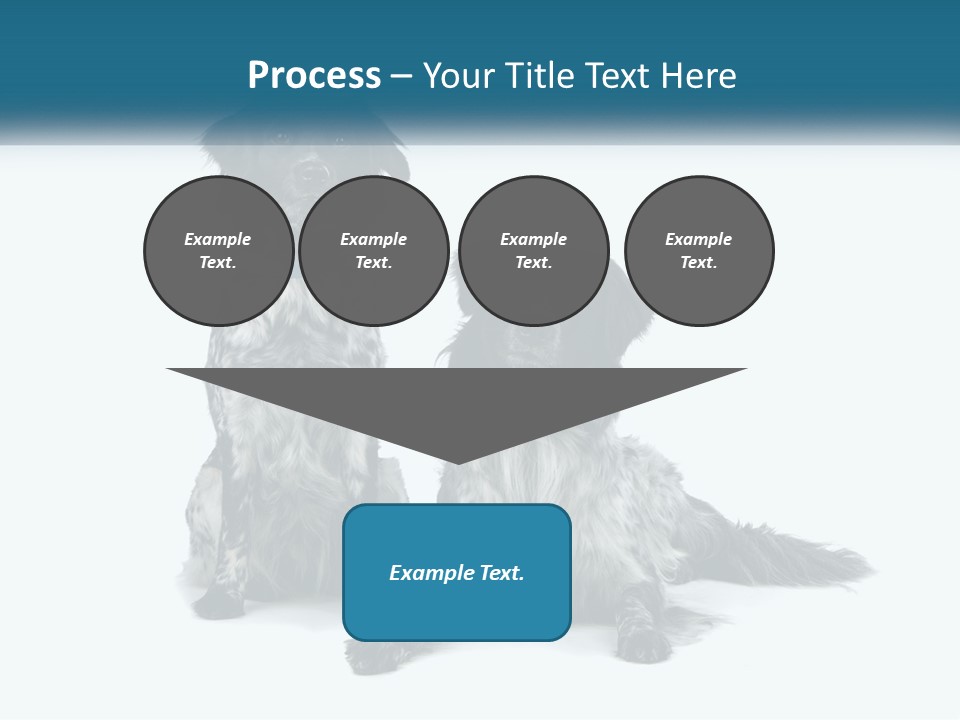 Two Dogs Sitting Next To Each Other On A White Background PowerPoint Template