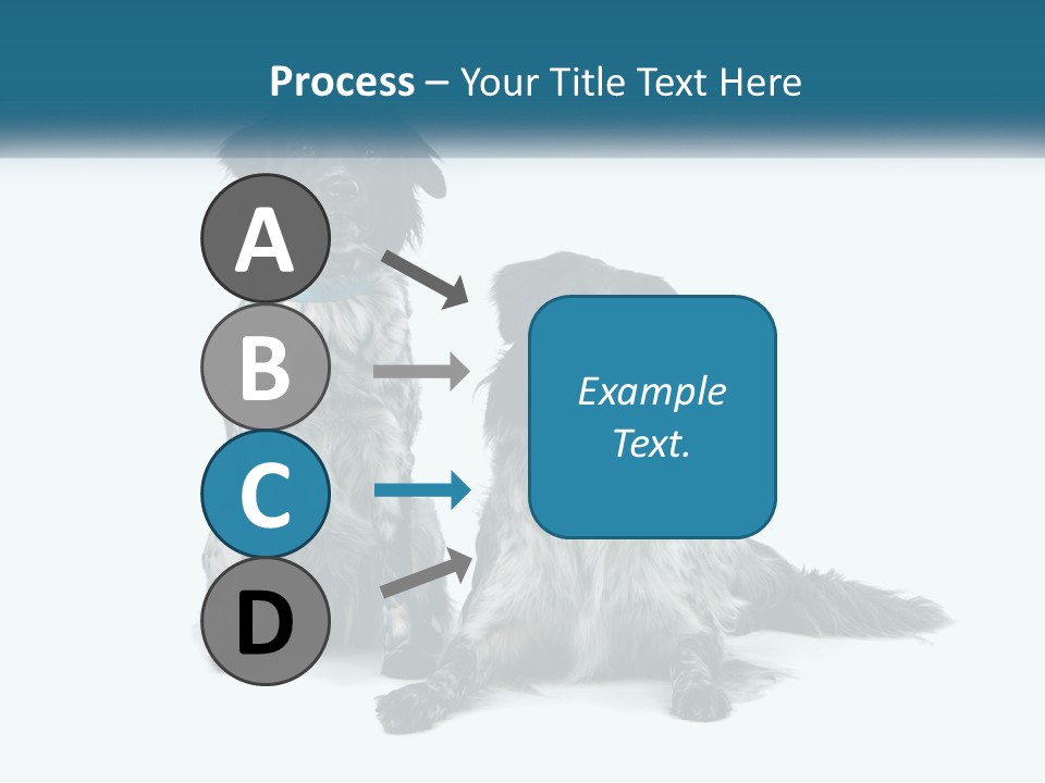 Two Dogs Sitting Next To Each Other On A White Background PowerPoint Template