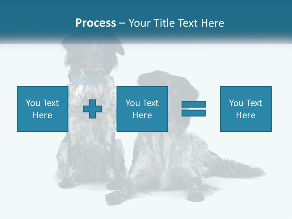 Two Dogs Sitting Next To Each Other On A White Background PowerPoint Template