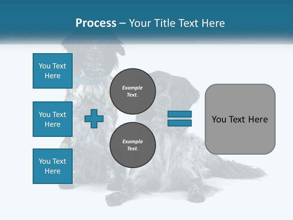 Two Dogs Sitting Next To Each Other On A White Background PowerPoint Template