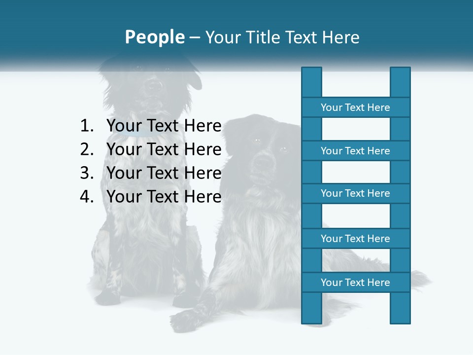 Two Dogs Sitting Next To Each Other On A White Background PowerPoint Template