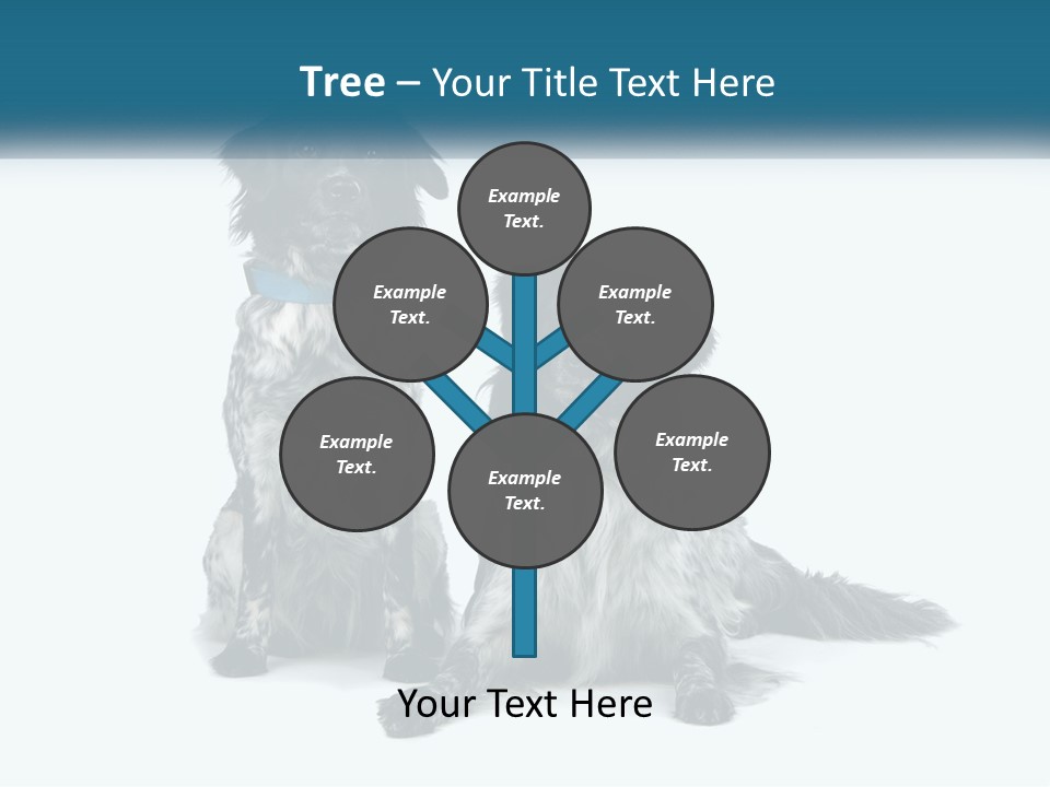 Two Dogs Sitting Next To Each Other On A White Background PowerPoint Template