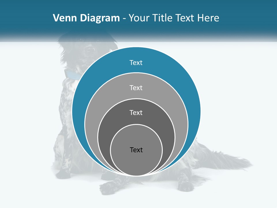 Two Dogs Sitting Next To Each Other On A White Background PowerPoint Template