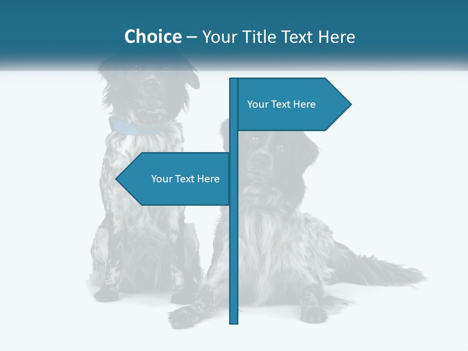 Two Dogs Sitting Next To Each Other On A White Background PowerPoint Template