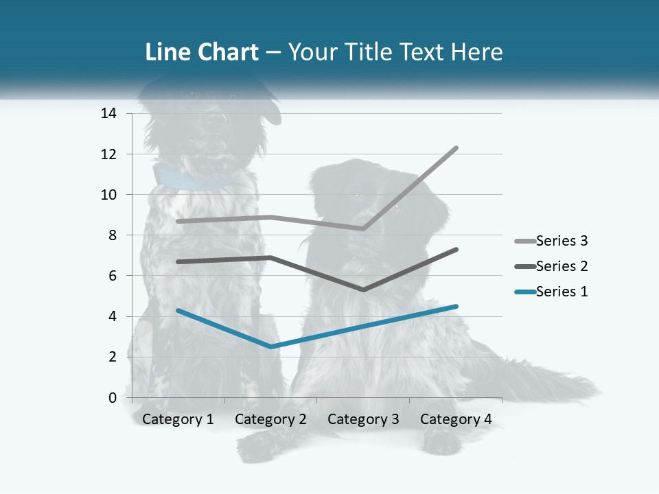 Two Dogs Sitting Next To Each Other On A White Background PowerPoint Template