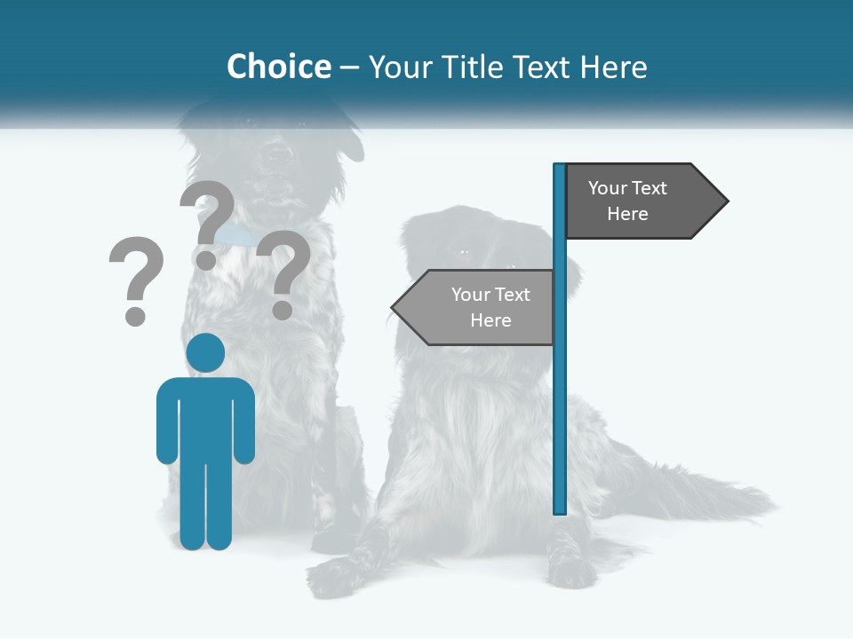 Two Dogs Sitting Next To Each Other On A White Background PowerPoint Template