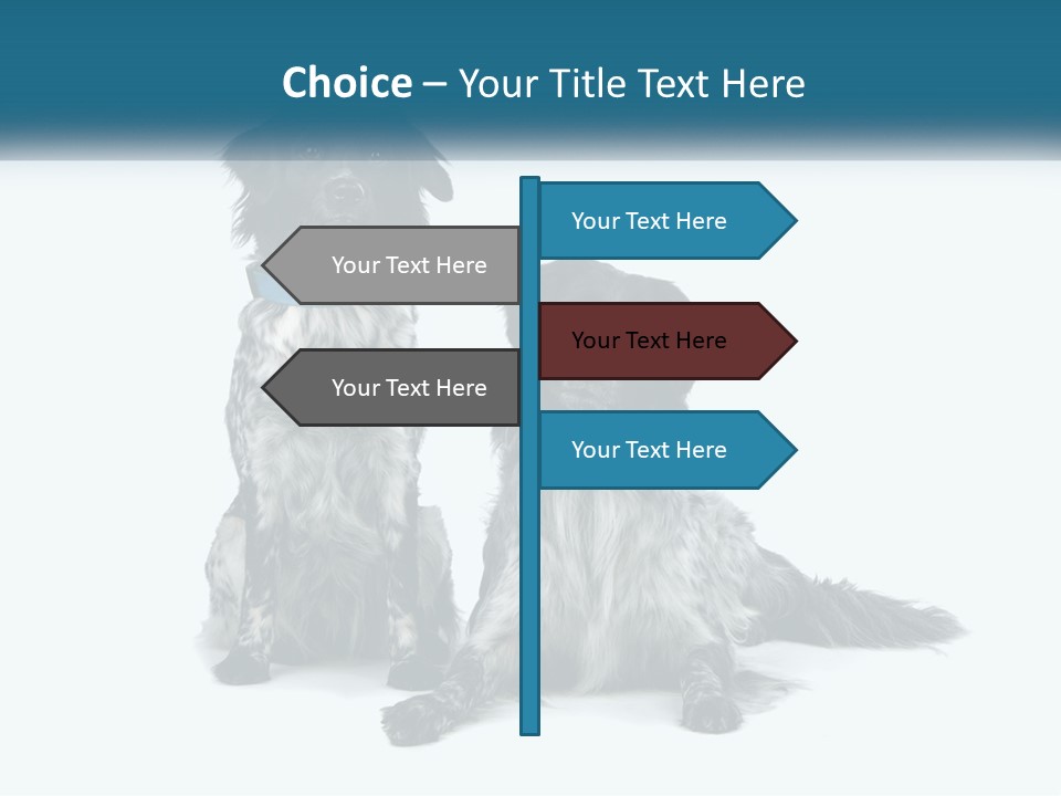 Two Dogs Sitting Next To Each Other On A White Background PowerPoint Template