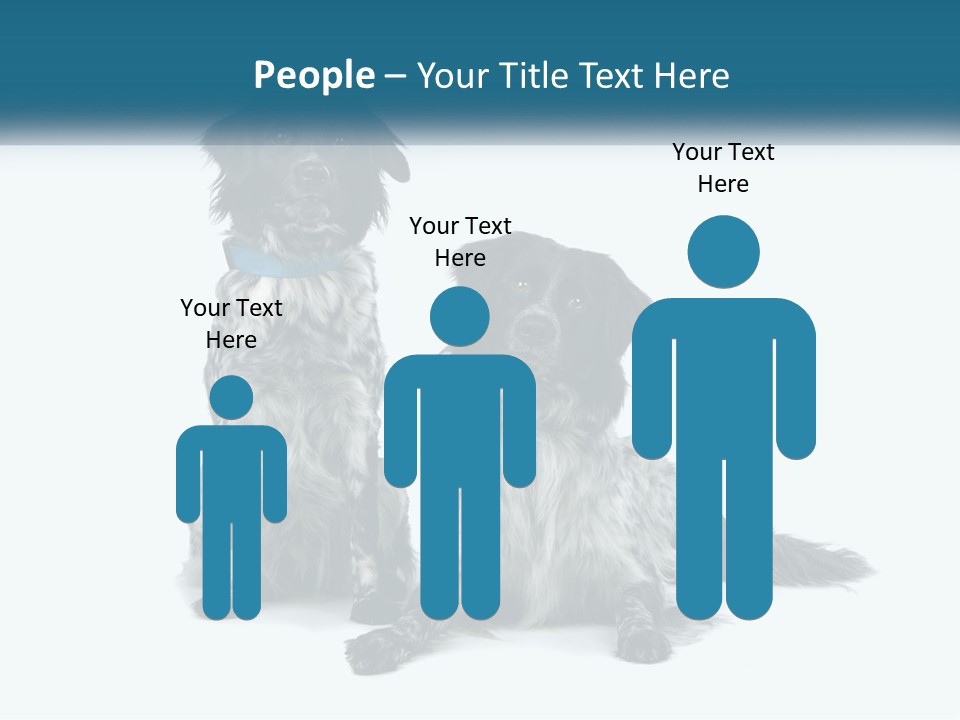 Two Dogs Sitting Next To Each Other On A White Background PowerPoint Template