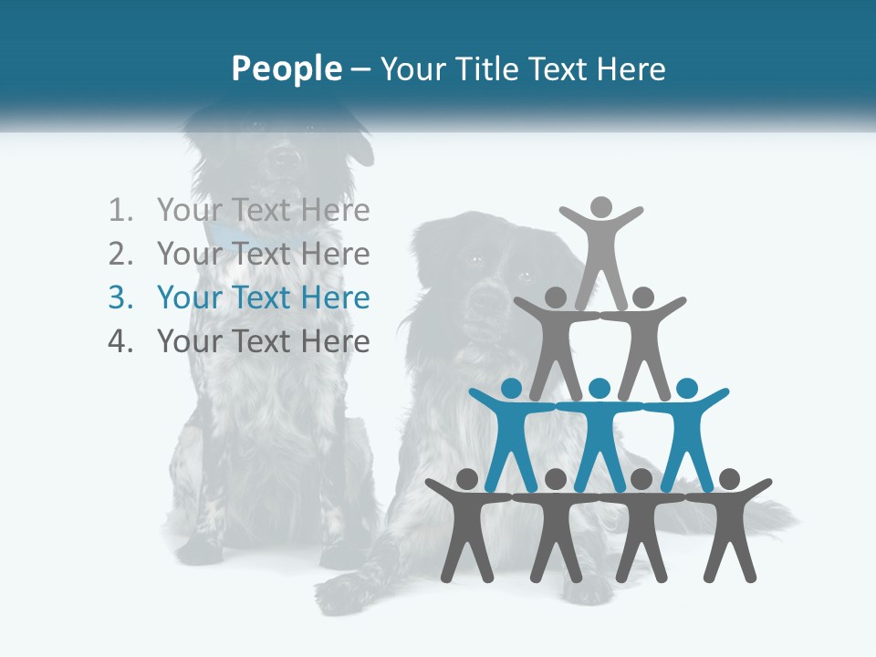 Two Dogs Sitting Next To Each Other On A White Background PowerPoint Template