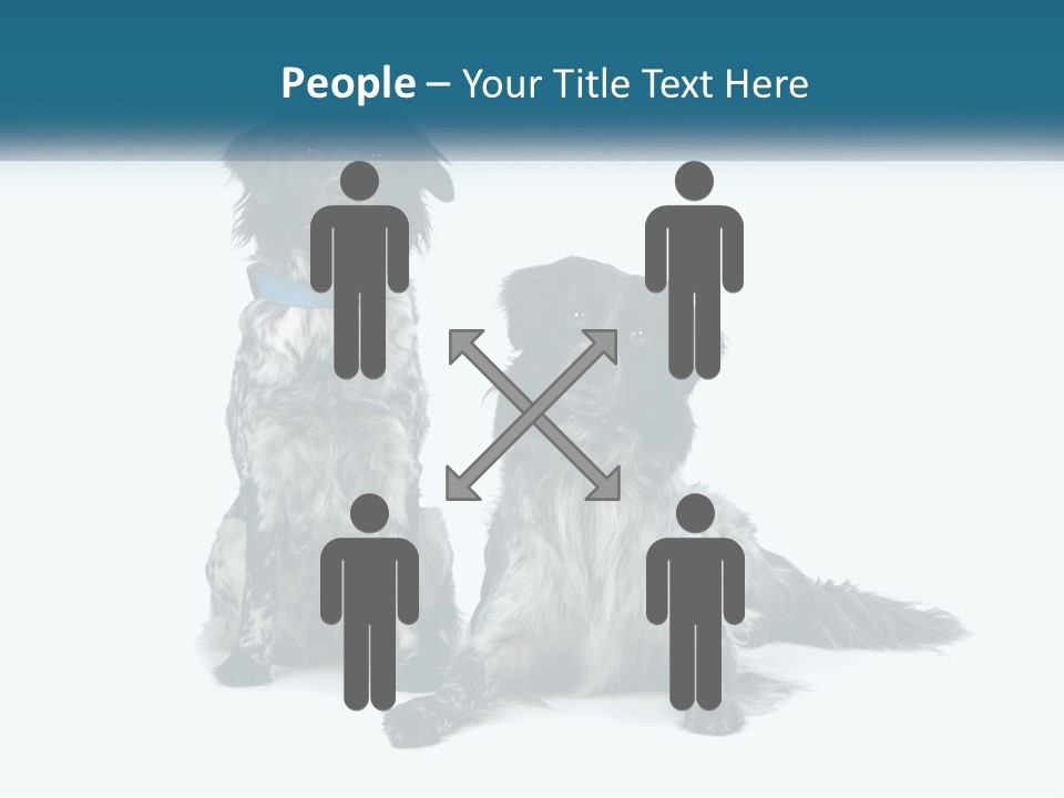 Two Dogs Sitting Next To Each Other On A White Background PowerPoint Template