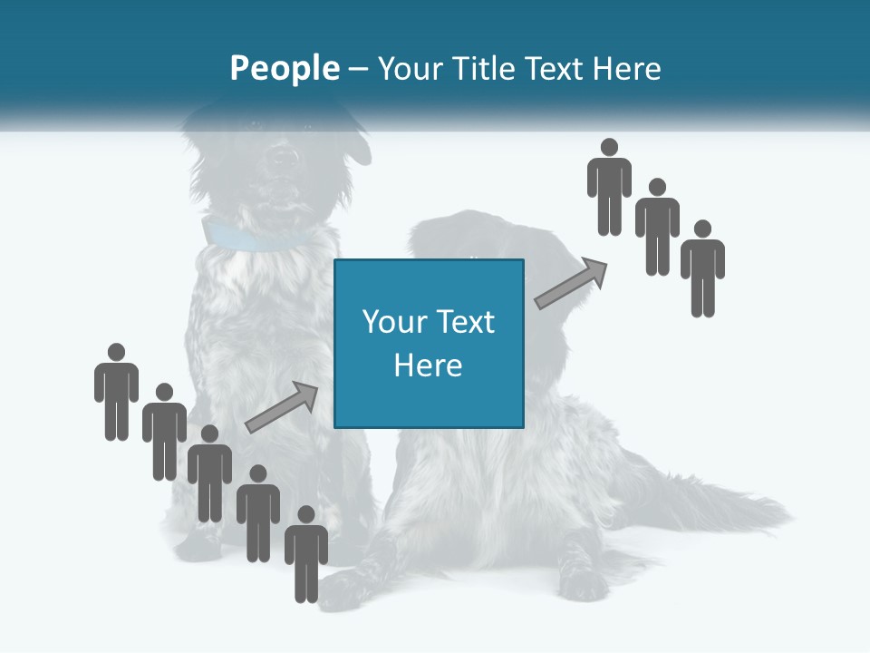 Two Dogs Sitting Next To Each Other On A White Background PowerPoint Template