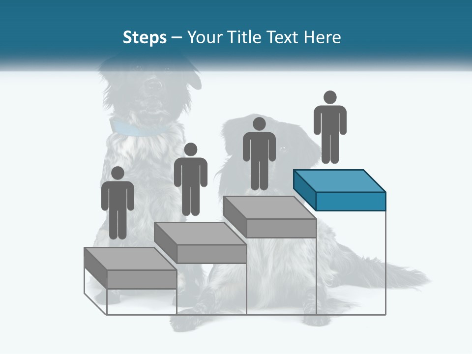 Two Dogs Sitting Next To Each Other On A White Background PowerPoint Template