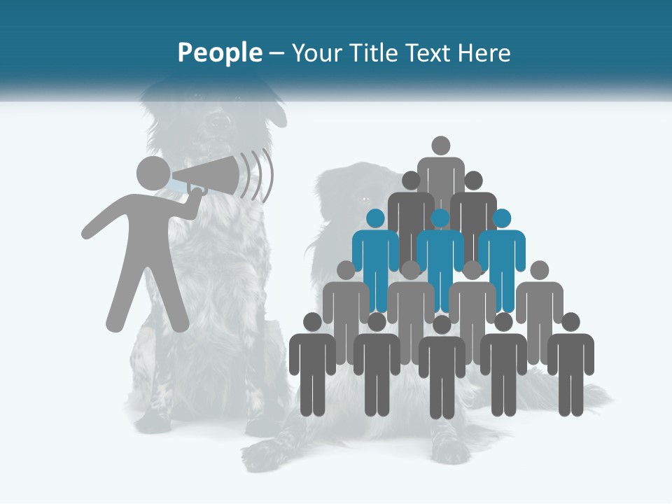 Two Dogs Sitting Next To Each Other On A White Background PowerPoint Template