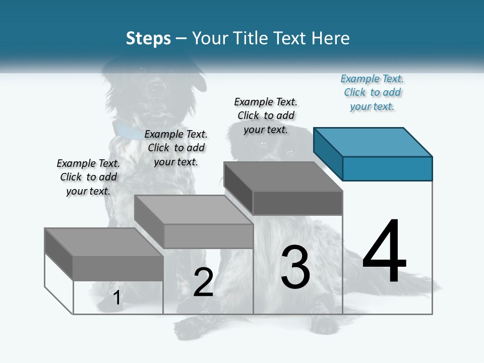 Two Dogs Sitting Next To Each Other On A White Background PowerPoint Template