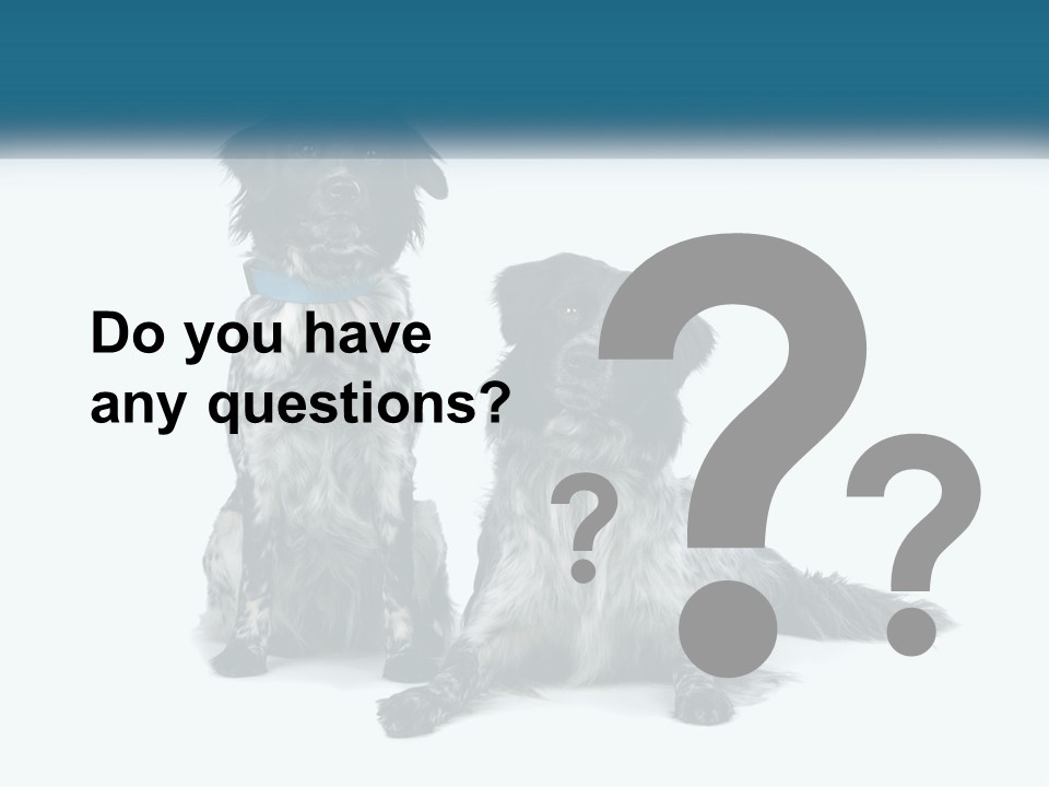 Two Dogs Sitting Next To Each Other On A White Background PowerPoint Template