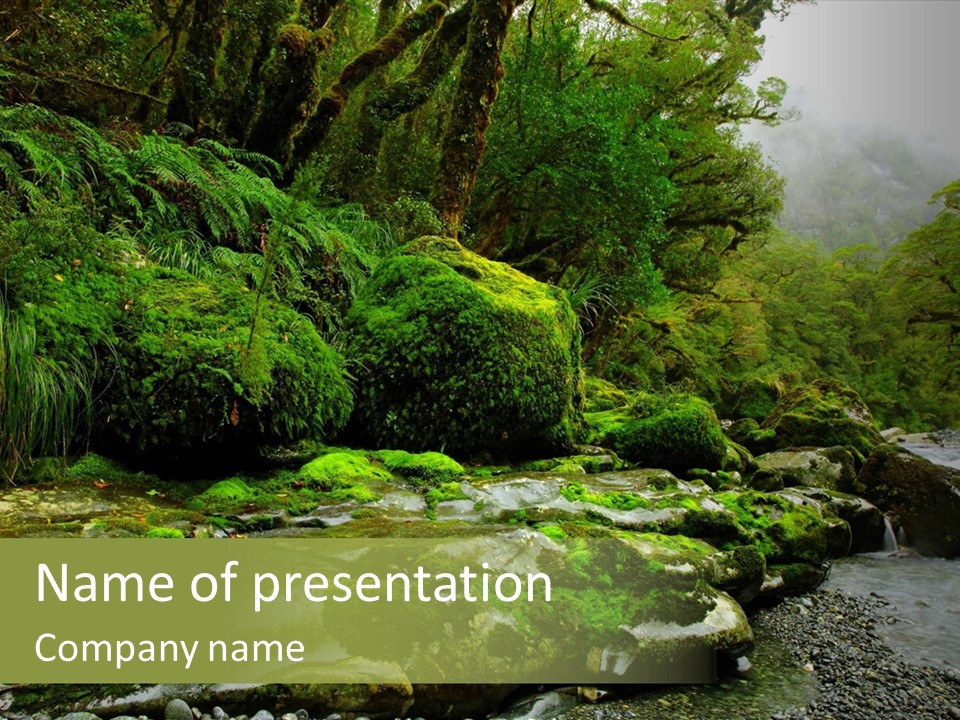 A Stream Of Water Surrounded By Trees And Rocks PowerPoint Template