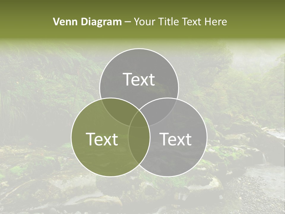 A Stream Of Water Surrounded By Trees And Rocks PowerPoint Template